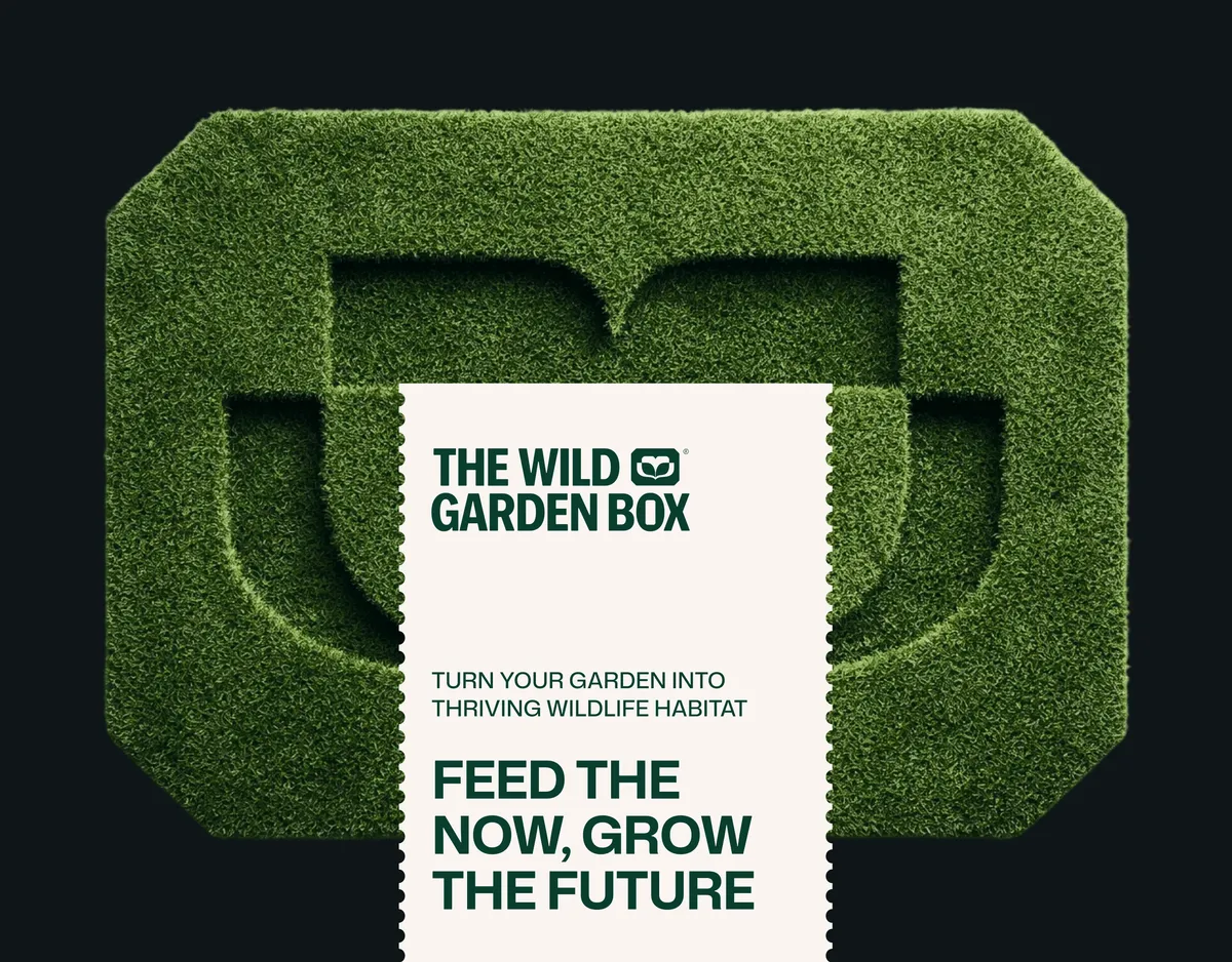 Wild Garden Box